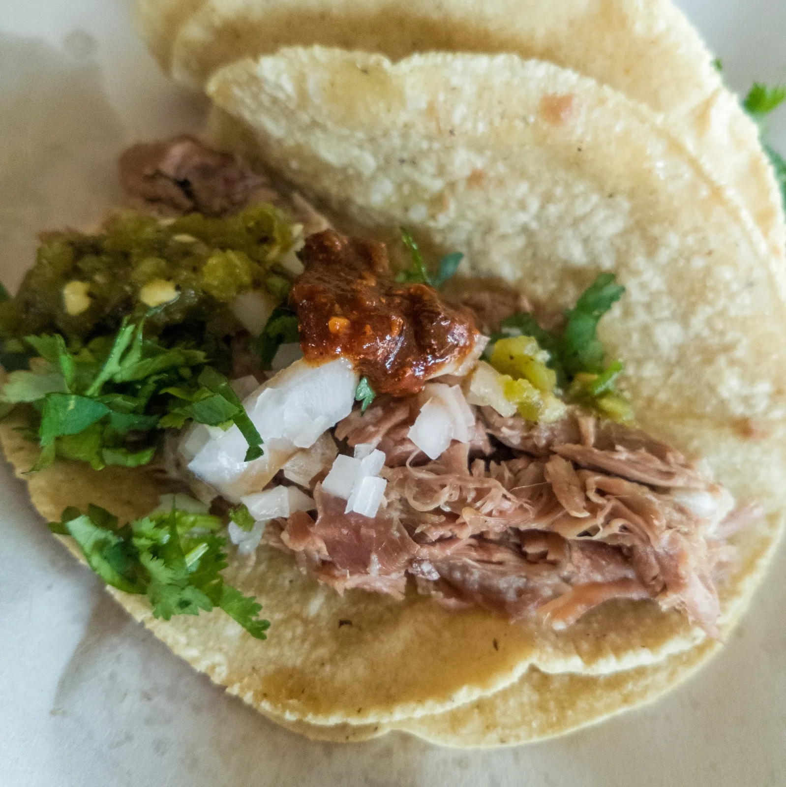 Taco de barbacoa con cilantro, cebolla y salsa